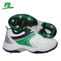 pointes cricket chaussures